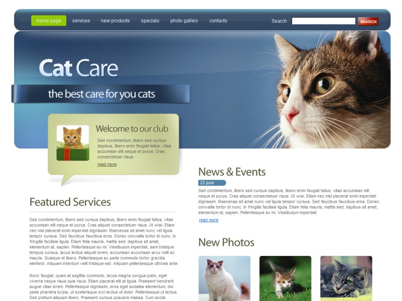 Pet Cat Care 01A