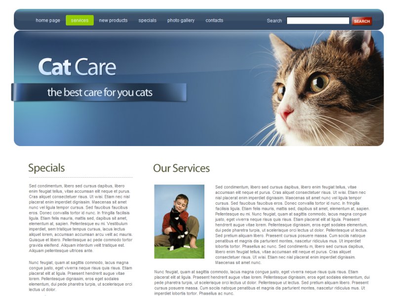 Pet Cat Care 01B